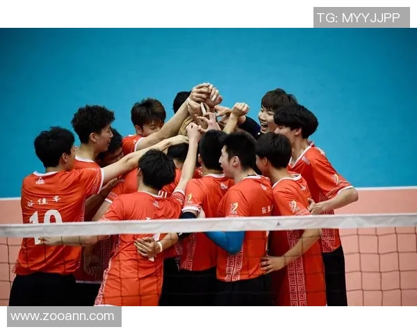 北京排球队实力排名第八引发关注排球实力排行榜新鲜出炉