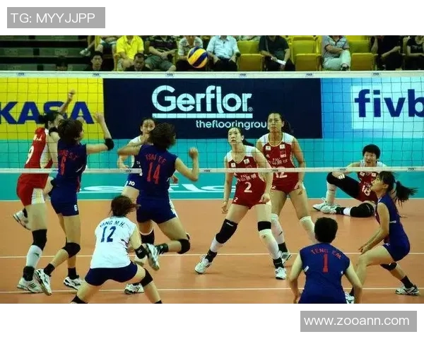 南京与武汉排球队对决后的战术分析与节奏探讨