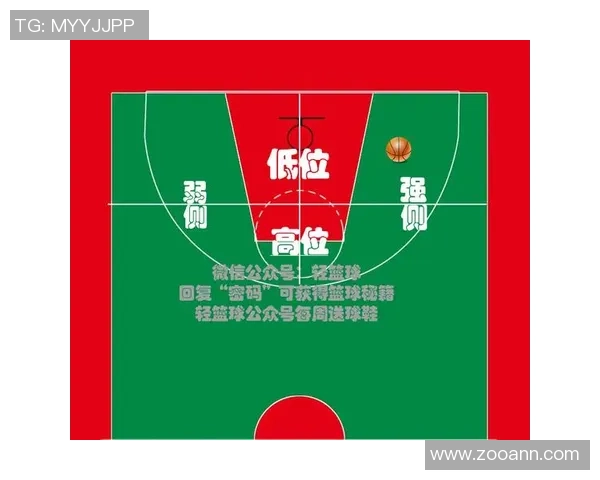 南京篮球队篮球意识排名创新高引发热议助力球队未来发展