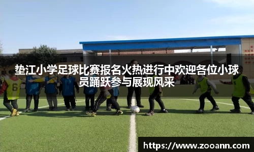 BB贝博