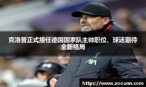 BB贝博