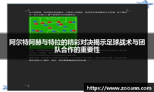 BB贝博登录入口