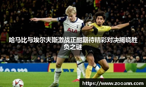哈马比与埃尔夫斯激战正酣期待精彩对决揭晓胜负之谜