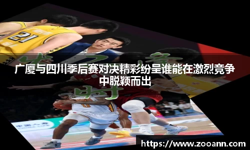 BB贝博登录入口