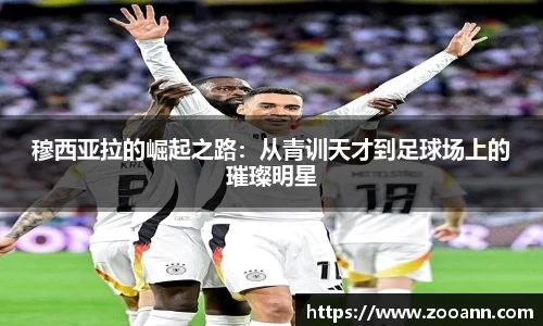 BB贝博登录入口
