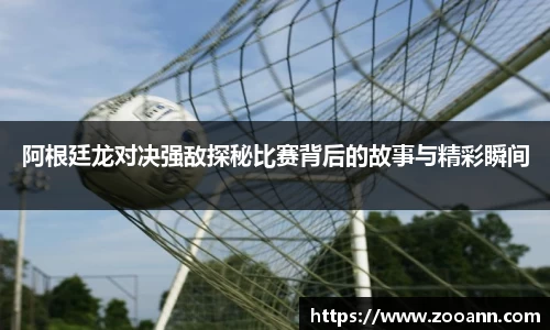 BB贝博登录入口