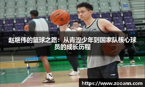BB贝博登录入口