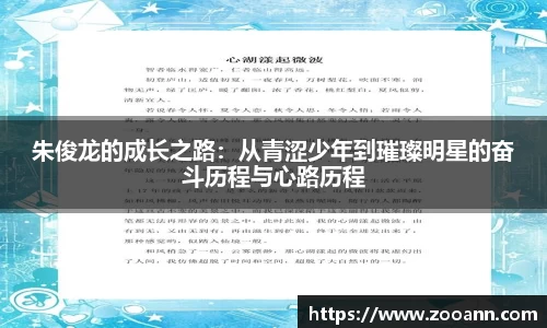 BB贝博登录入口