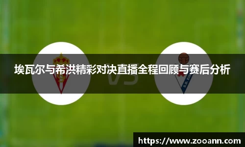 BB贝博登录入口