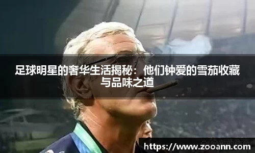 BB贝博