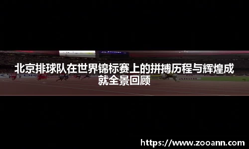 BB贝博