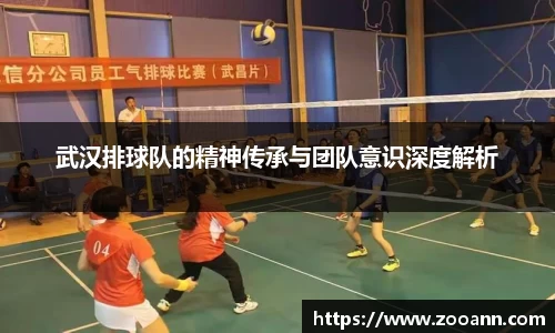 BB贝博登录入口